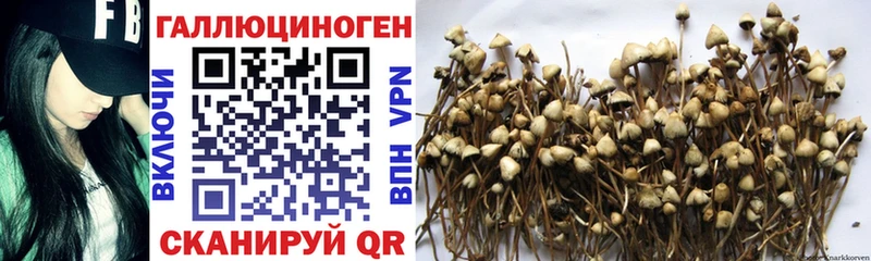 Галлюциногенные грибы прущие грибы хочу Отрадный